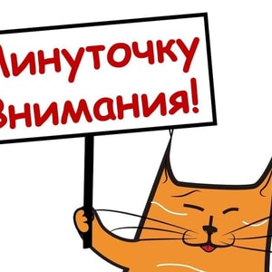 Фото товара 'Внимание!'