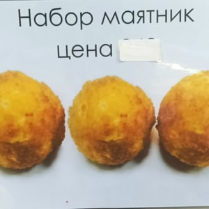 Фото товара 'Мятник'