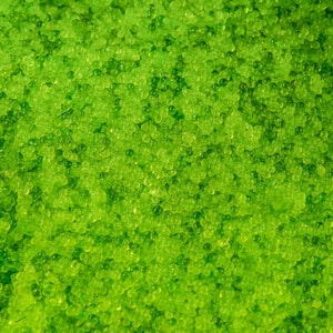 Фото товара 'Икра масаго аналоговая зеленая 0,5 кг'
